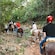 A group of horseback riders traverse through a leafy tropical rainforest with a flowing stream
